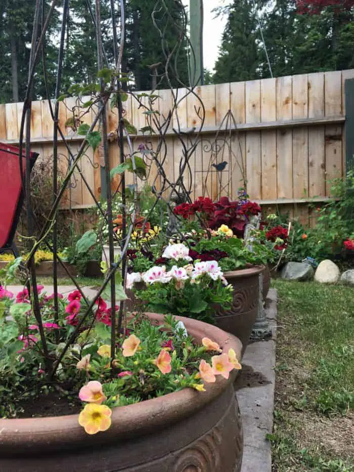 Small backyard garden ideas