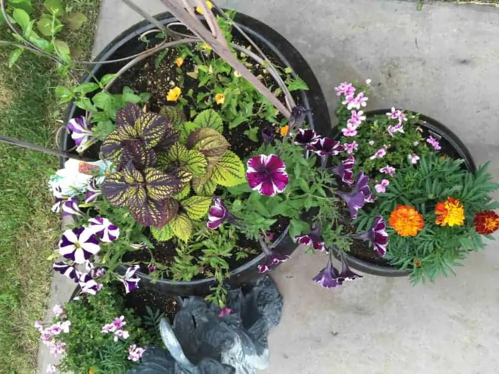 Small Backyard Garden Ideas Tips, Small Backyard Flower Garden Ideas