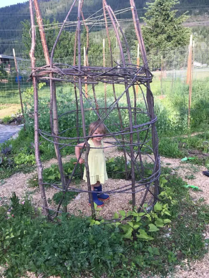 Wooden garden trellis playhouse