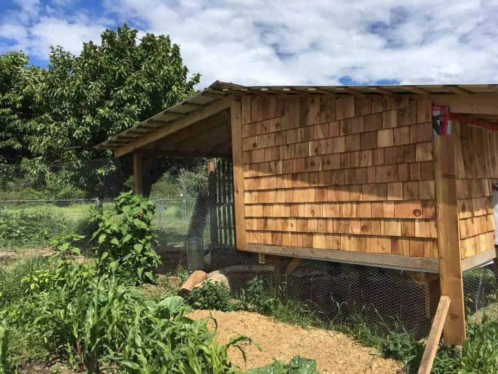 Chicken Coop For 30 Hens & Raised For Increased Roaming On Snowy Winters