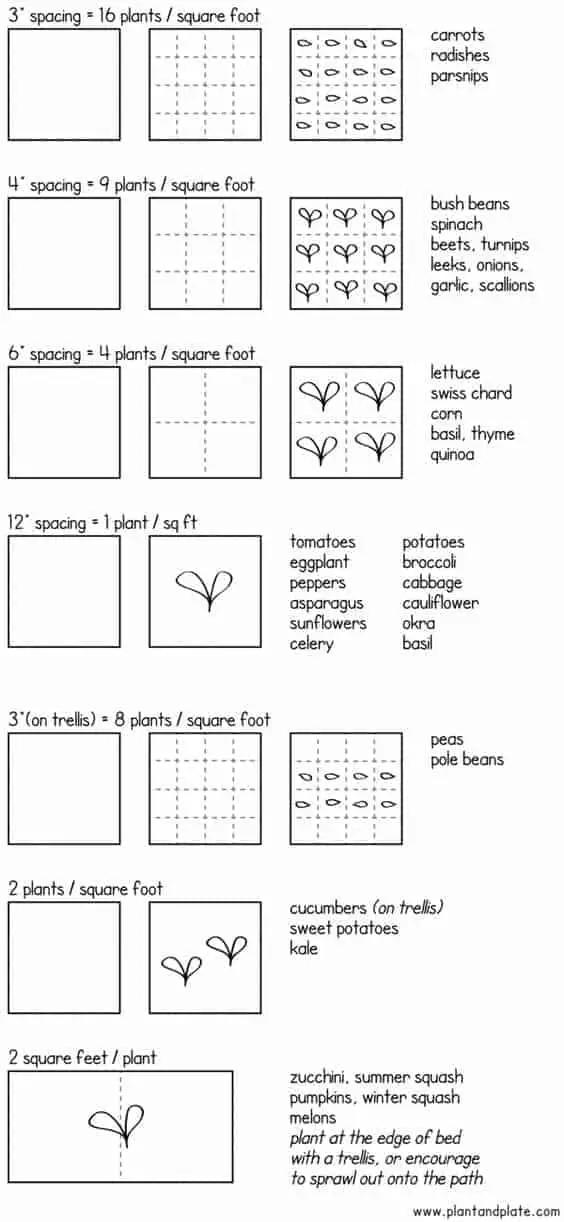 Square foot garden spacing and plans