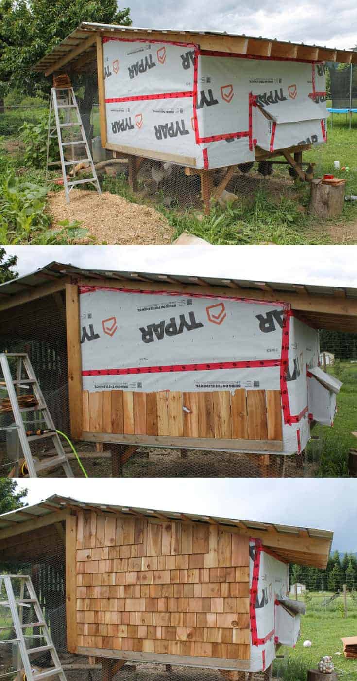 DIY Chicken Coop With Cedar Shake Sidings