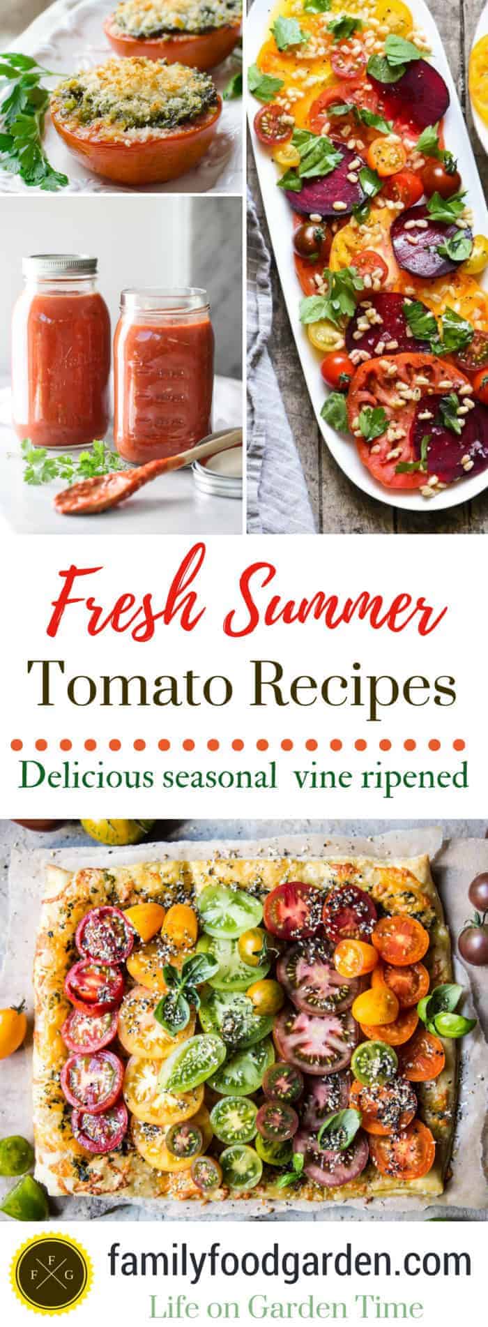 Fresh tomato recipes