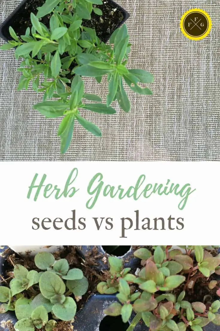 Beginner herb garden planning