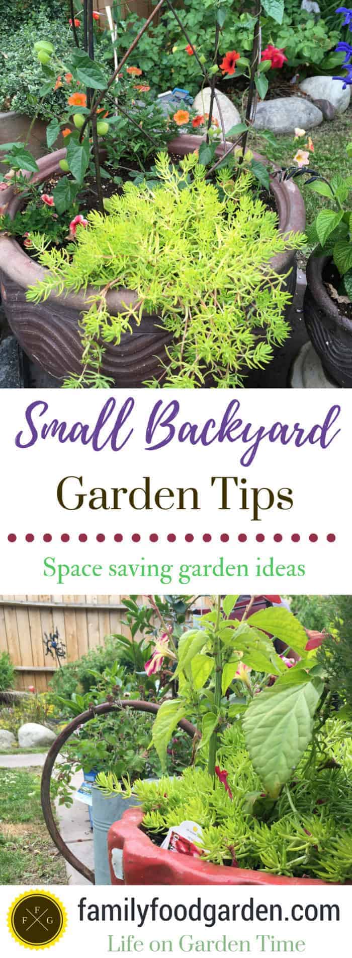 Small Backyard Gardening Tips: Space saving garden ideas