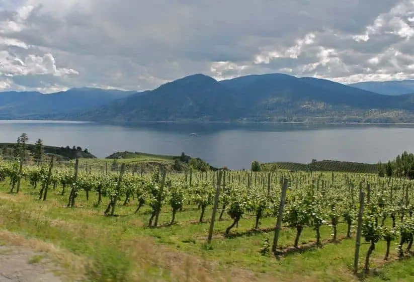 Okanagan valley in Canada has wonderful wineries