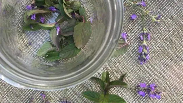 Lavender chocolate mint tea blend