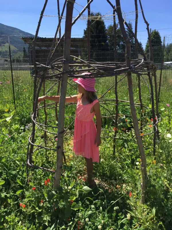 Grow a kids bean house for a fun playhouse