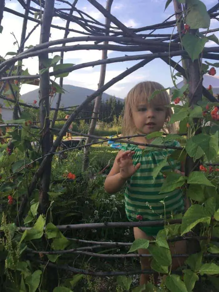 Kids Wooden Garden Playhouse using climbing beans