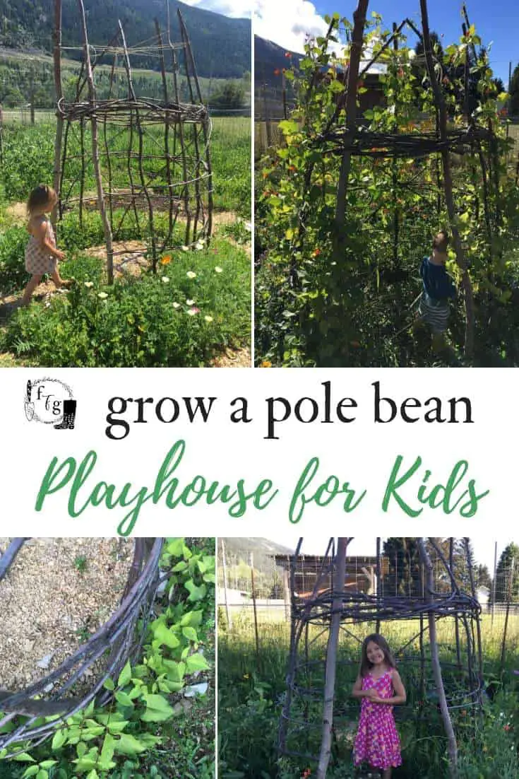 Grow a kids bean house for a fun playhouse