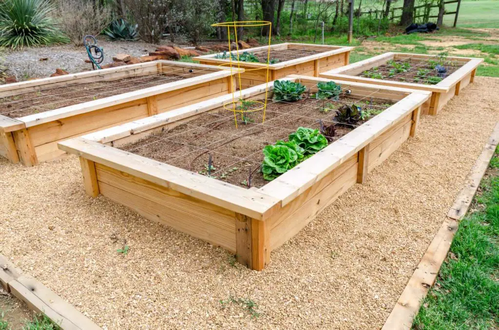 Raised vegetable garden bed