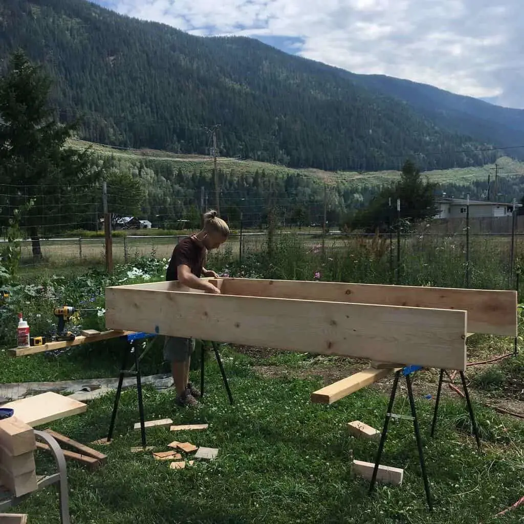 Building raised vegetable garden beds