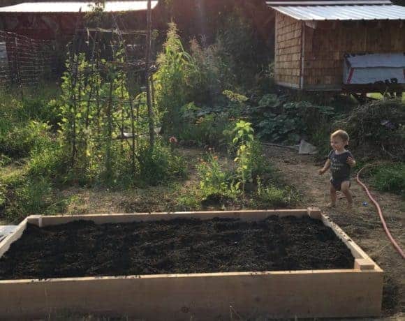 Raised garden bed