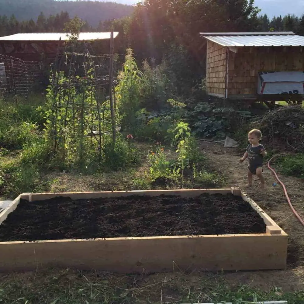 Raised vegetable garden bed
