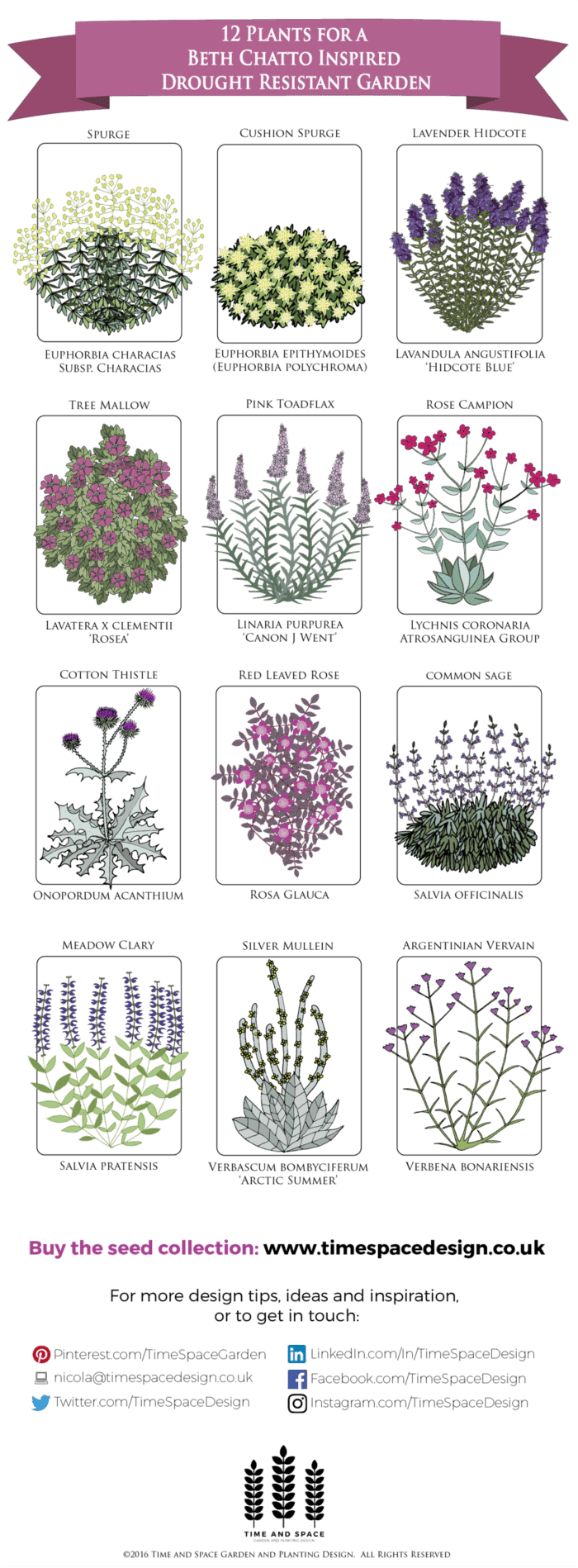 12 Plants For A Drought-Resistance Garden