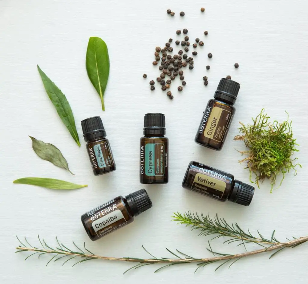 doTERRA fall Essential Oil Diffuser Blends