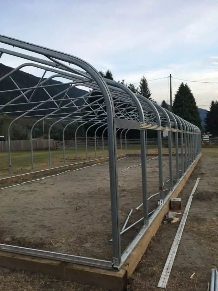 The homestead greenhouse is an expensive project to build, Figure out your budget and homestead goals