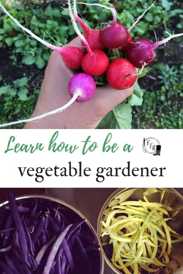 Learn how to be a vegetable gardener