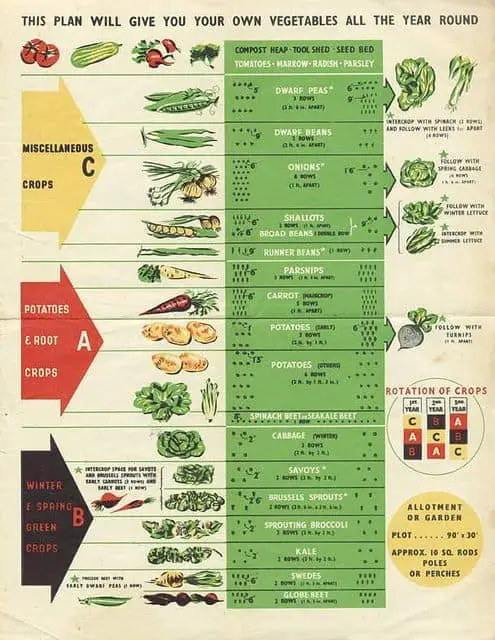 Victory Gardening Plan