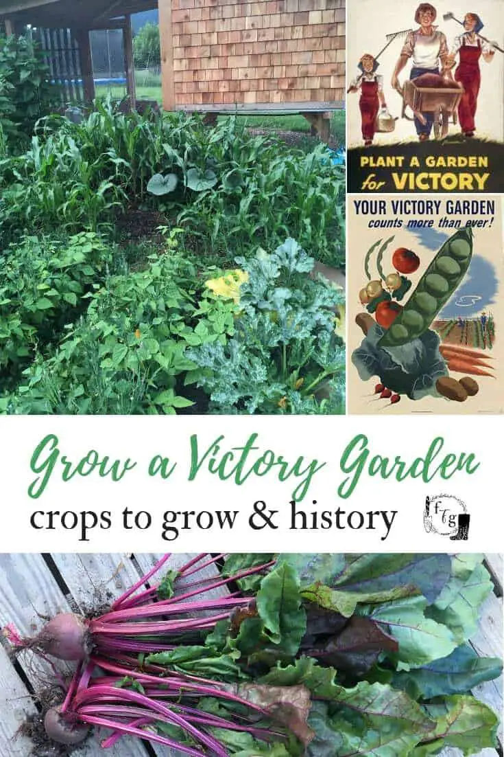 Grow a modern victory garden with these designs & crop lists #victorygarden #victorygardens #victorygardening #wargardens #selfsufficient #homestead #gardenplanning