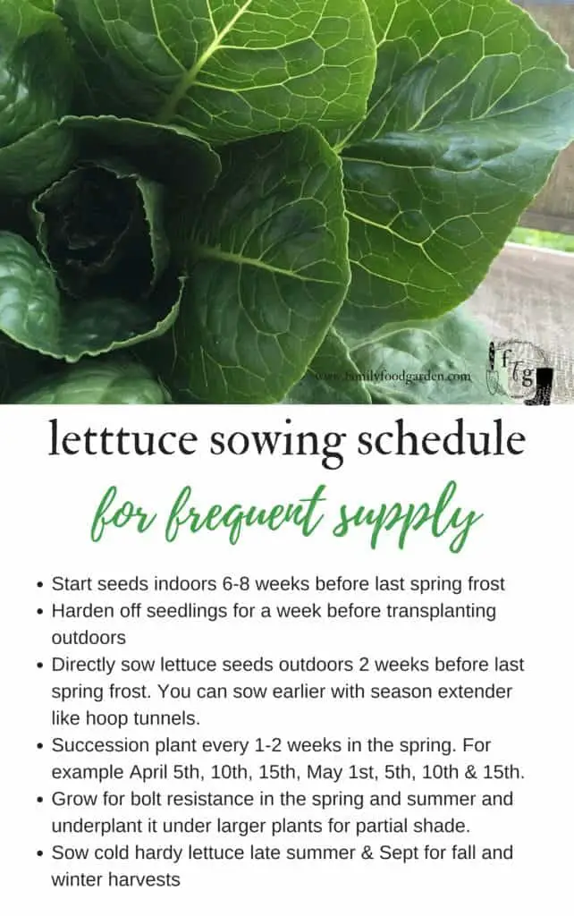 FREE Lettuce planting schedule