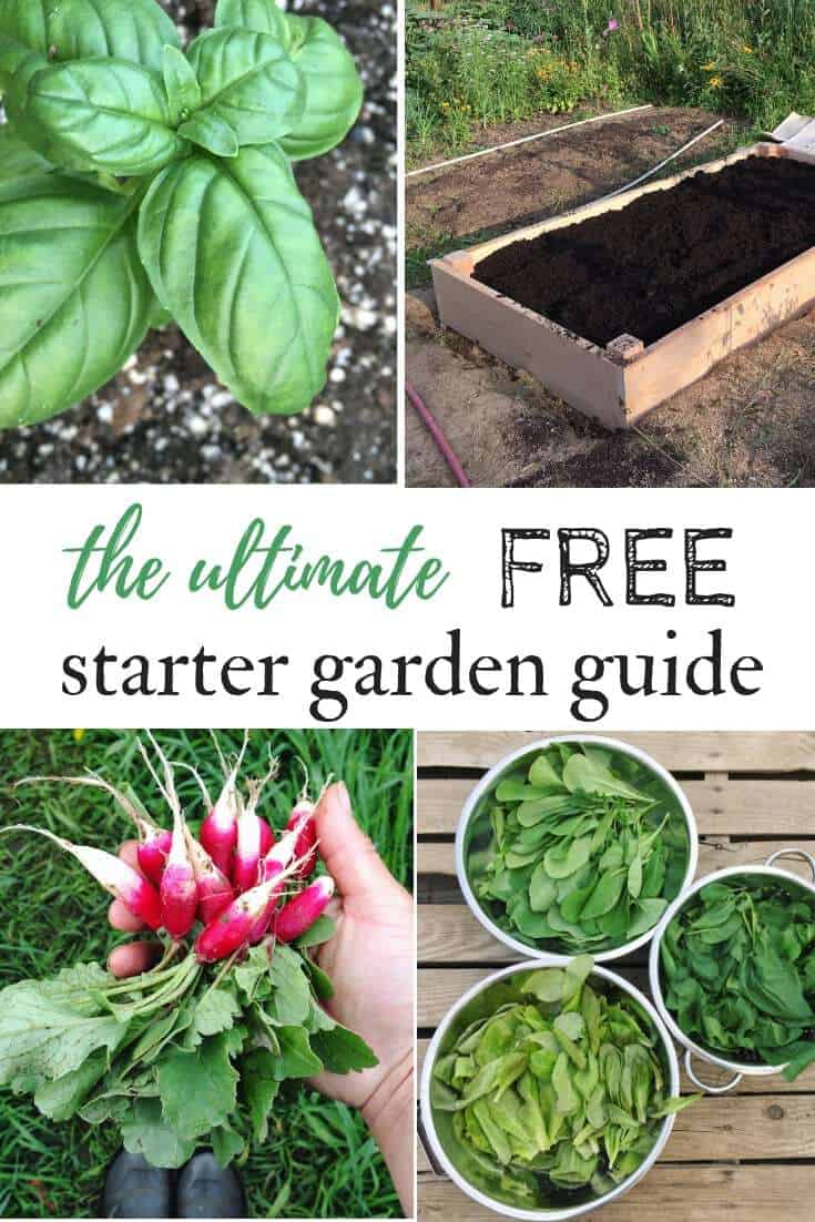 FREE Starter garden guide