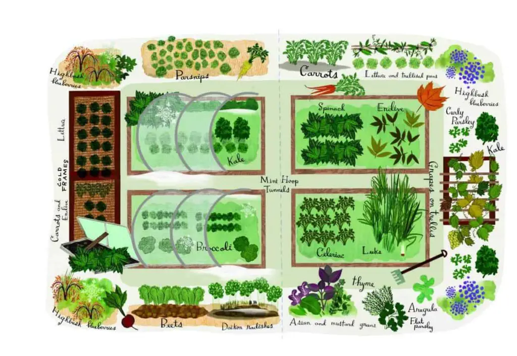 Vegetable Garden Plans Designs Layout Ideas Family 