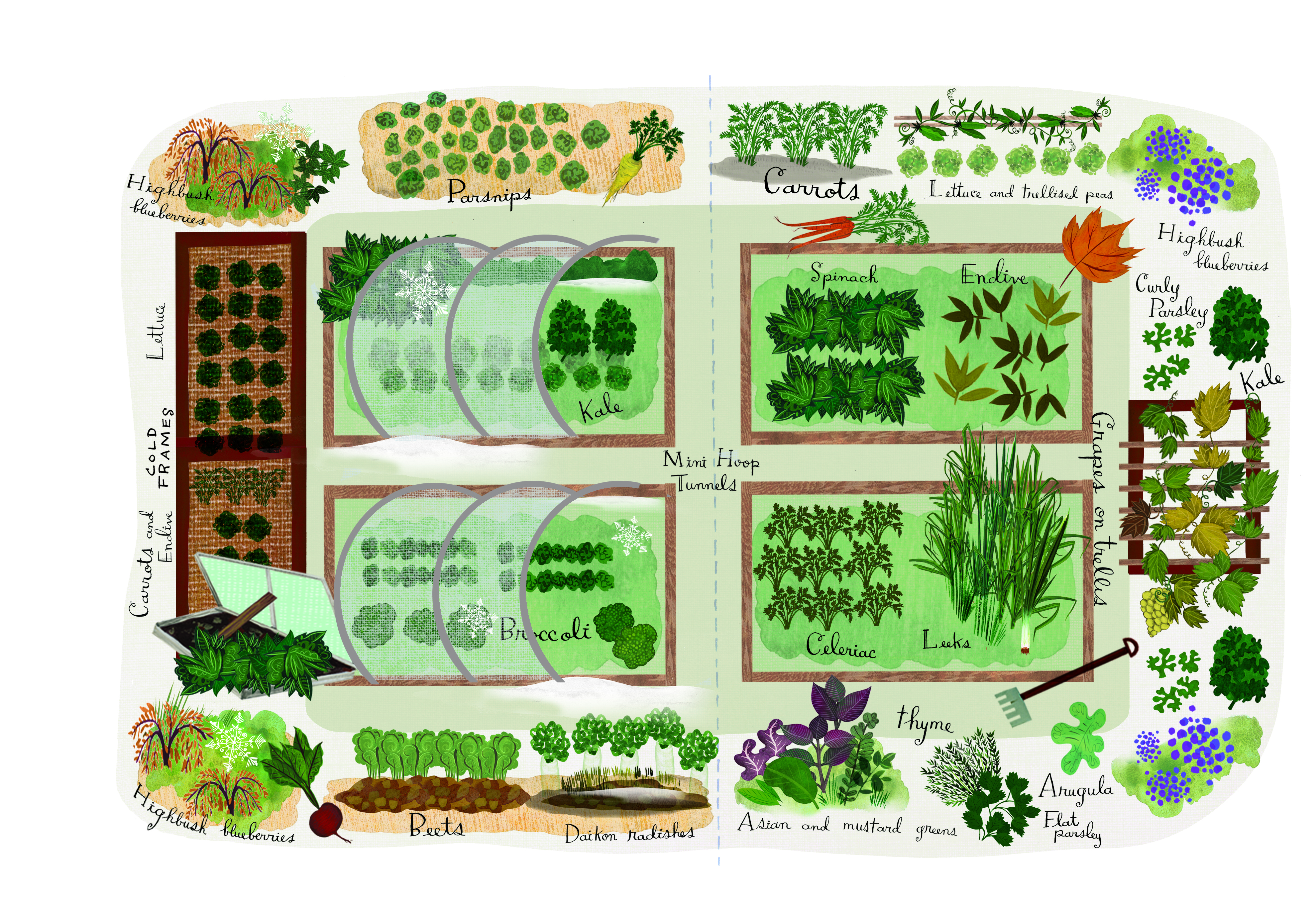 Groundbreaking Food Gardens Design & Layout