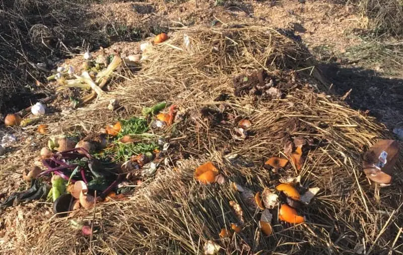 Straw chicken bedding in a composting system