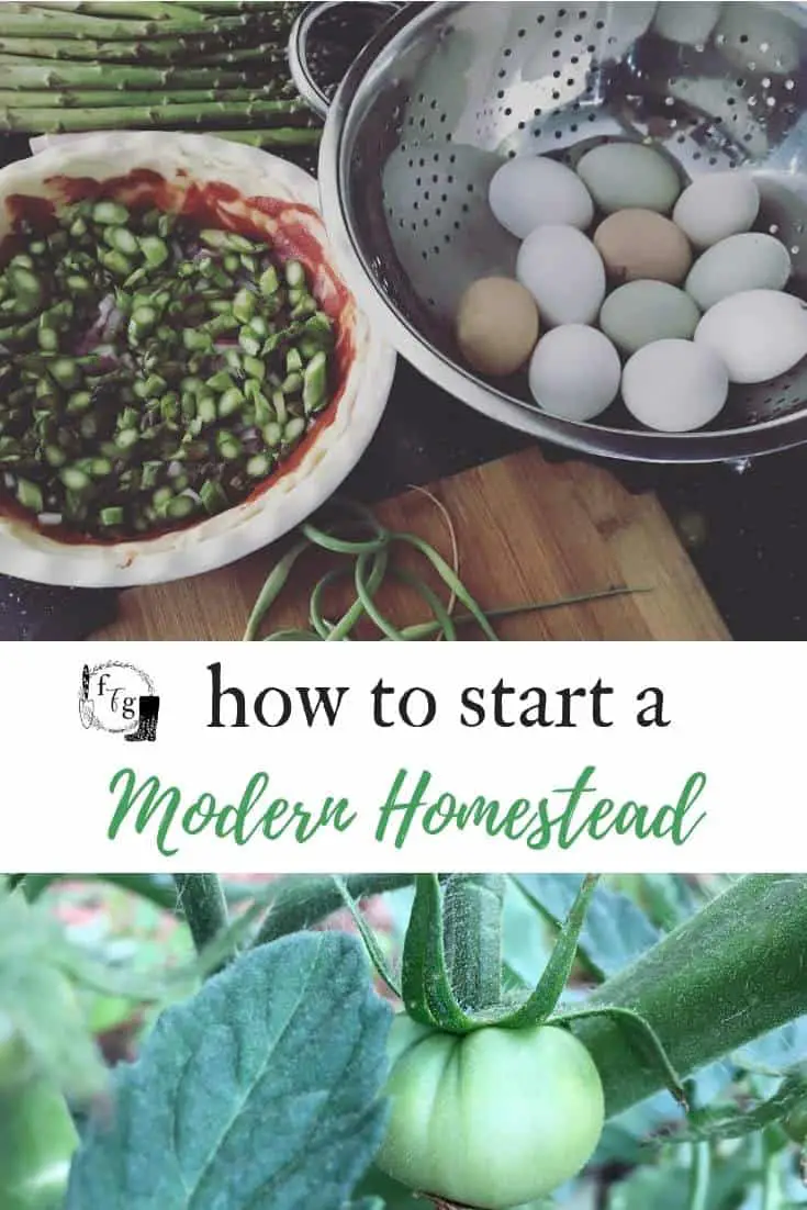 How to start a modern homestead