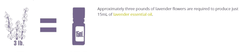 Lavender amount in 15ml of lavender essential oil