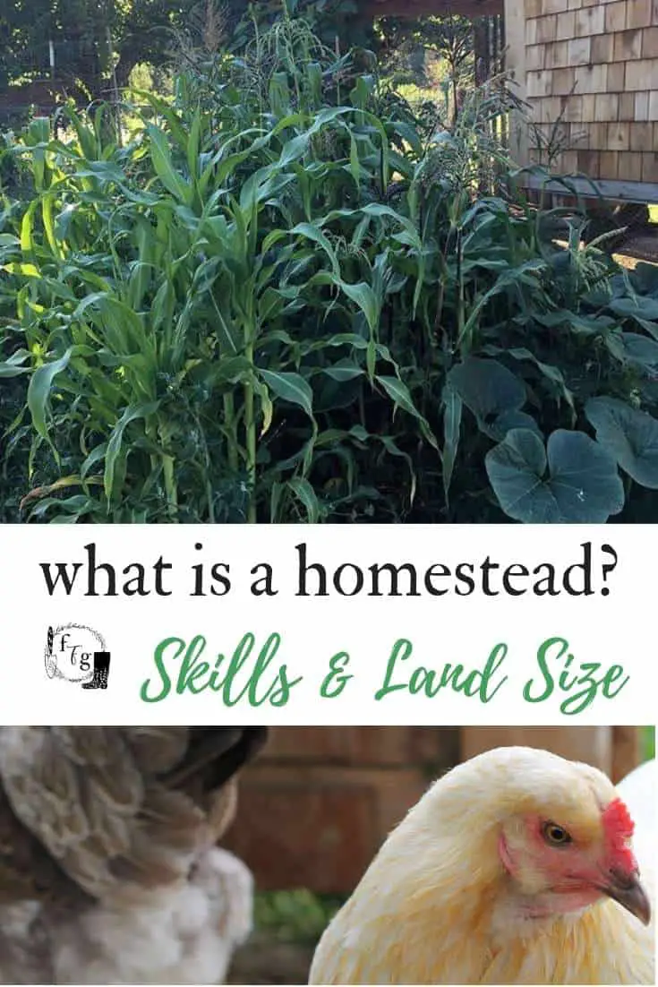 Space and ideas for homesteading