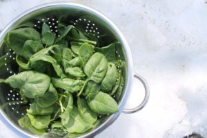 Spinach harvest in the winter vegetable garden