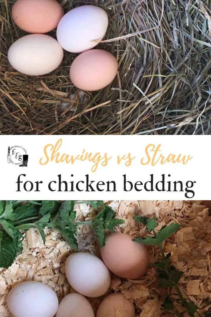 Best chicken bedding for a chicken coop