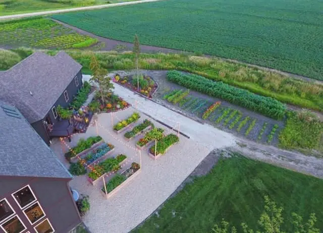 Backyard garden landscaping (Aerial shot)