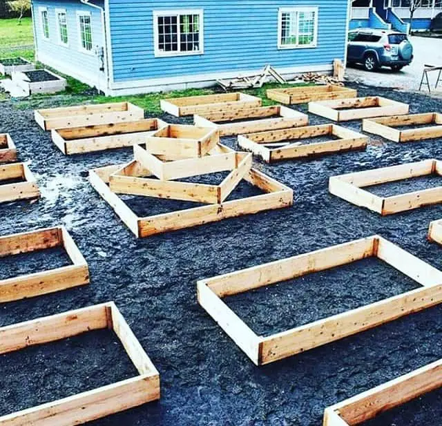 Building raised garden beds