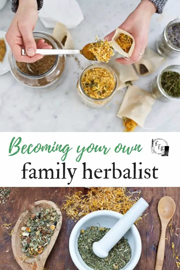 Family Herbalist online herbal courses #herbs #herbalism #familyherbs #naturalremedies