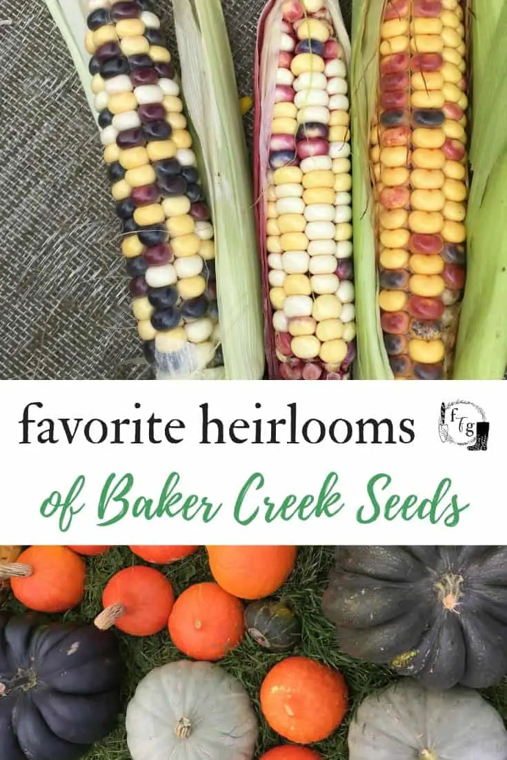 Fav Baker Creek Seeds for Heirloom Gardening