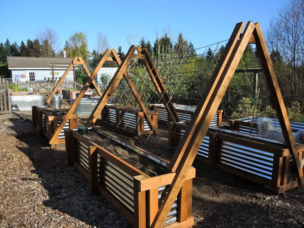 Galvanized metal raised garden bed