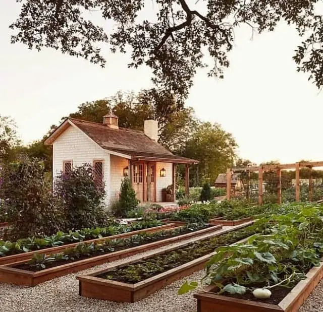 Gorgeous raised vegetable garden beds