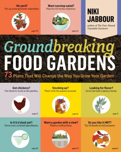 Informative Book About Food Garden Designs