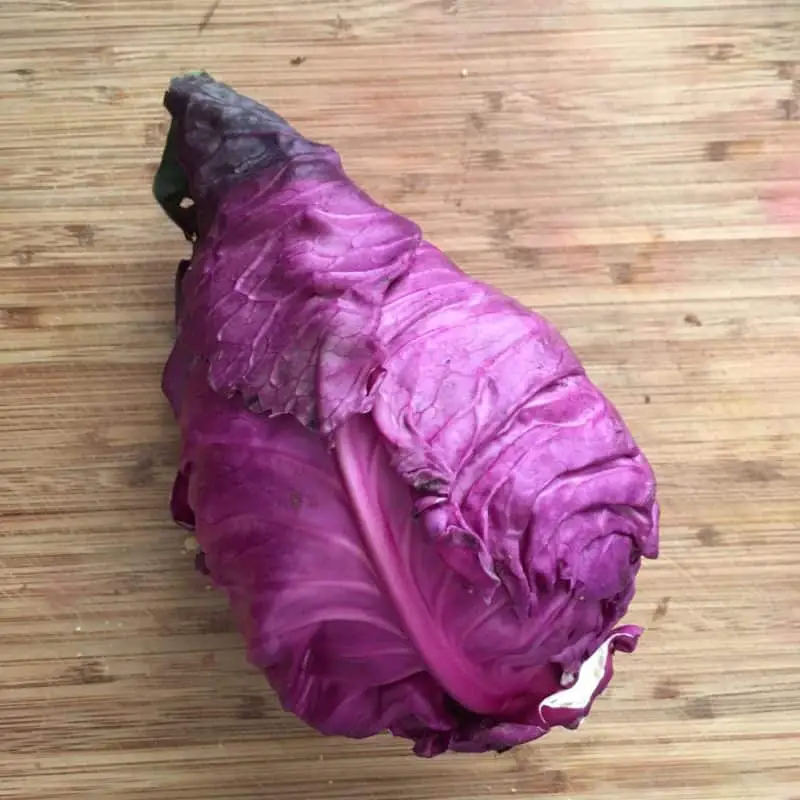 Purple 'Kalibos' Cabbage