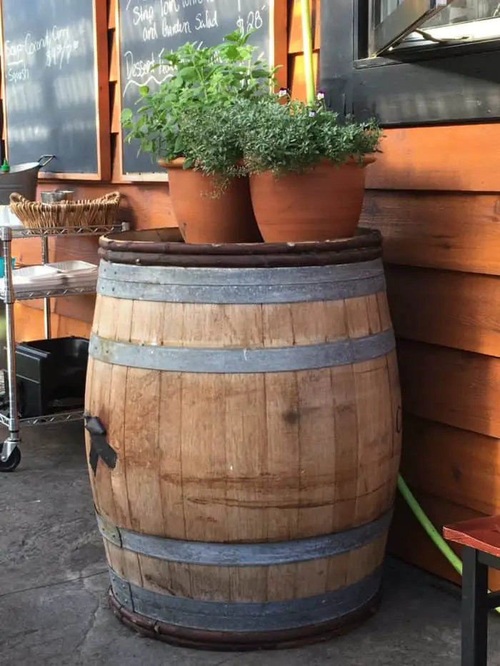 Kitchen herb garden grown in the shade