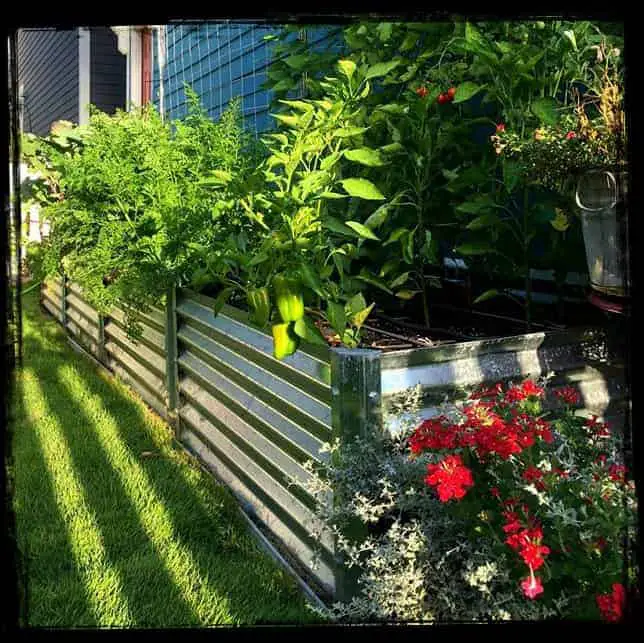 Beautiful metal raised garden bed kits