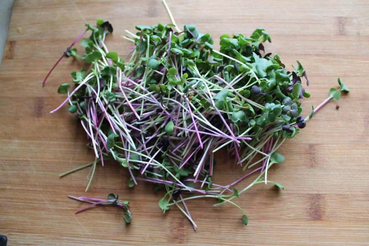 Microgreens