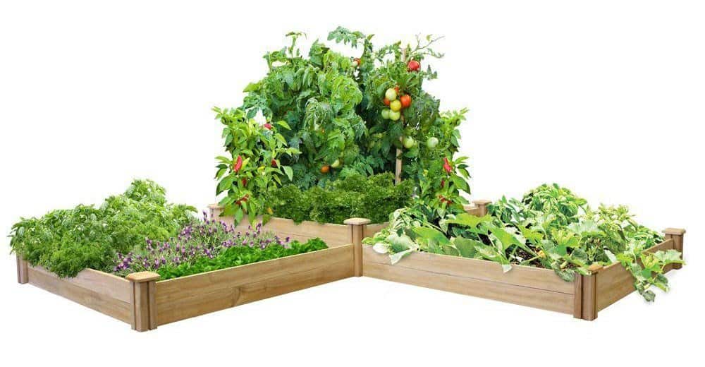 Pretty raised garden beds