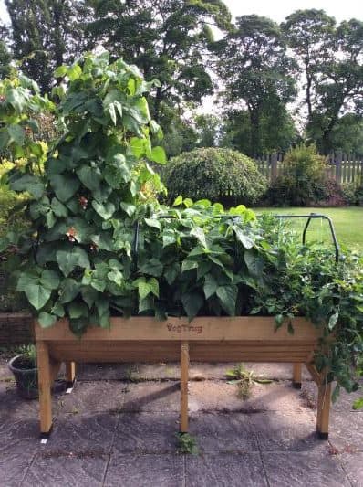 VegTrug planters are great for small urban gardens