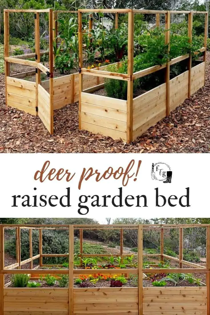 Deer proof raised garden bed