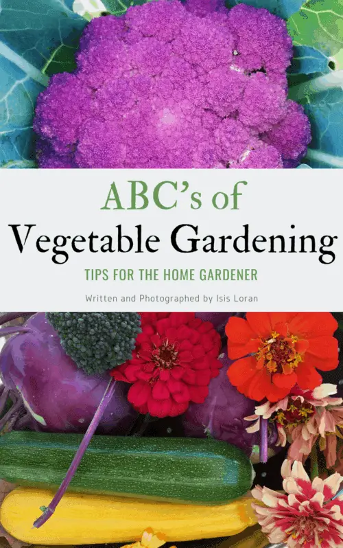 ABC's of Vegetable Gardening: Tips for the home gardener