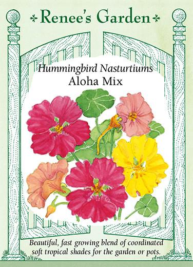 Renee's Garden: Hummingbird Nasturtiums Aloha Mix